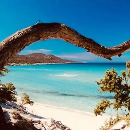 Le Corail Rouge - Corse Du Sud 别墅 *